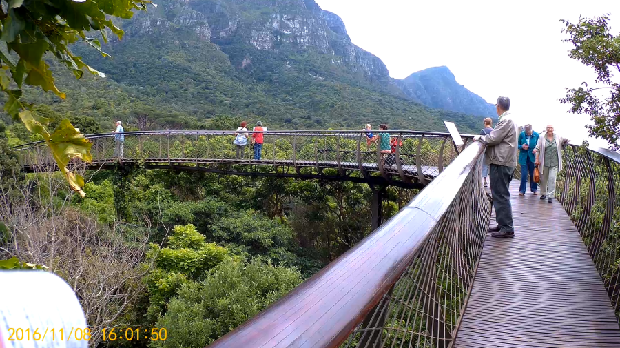 Passerelle Kirstenbosch.png